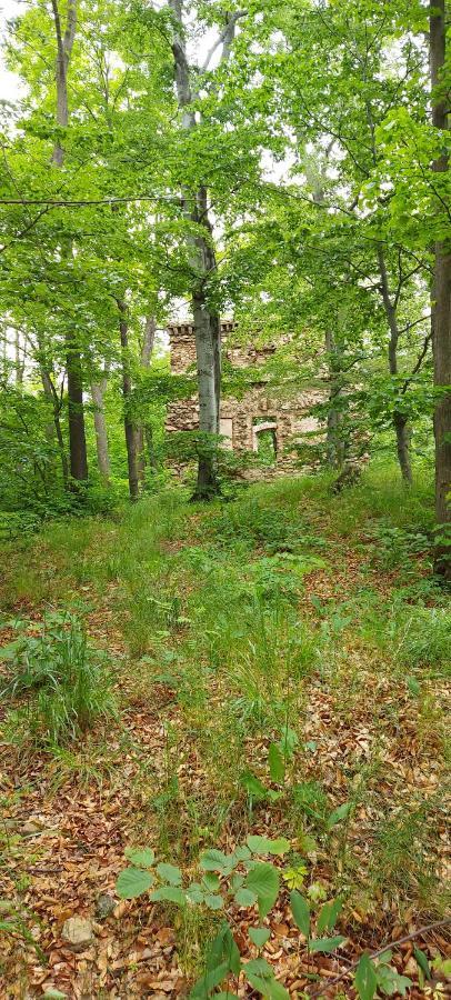 Ekologiczny Domek "Ciszyca" Z Widokiem Na Sniezke Kostrzyca Exterior photo